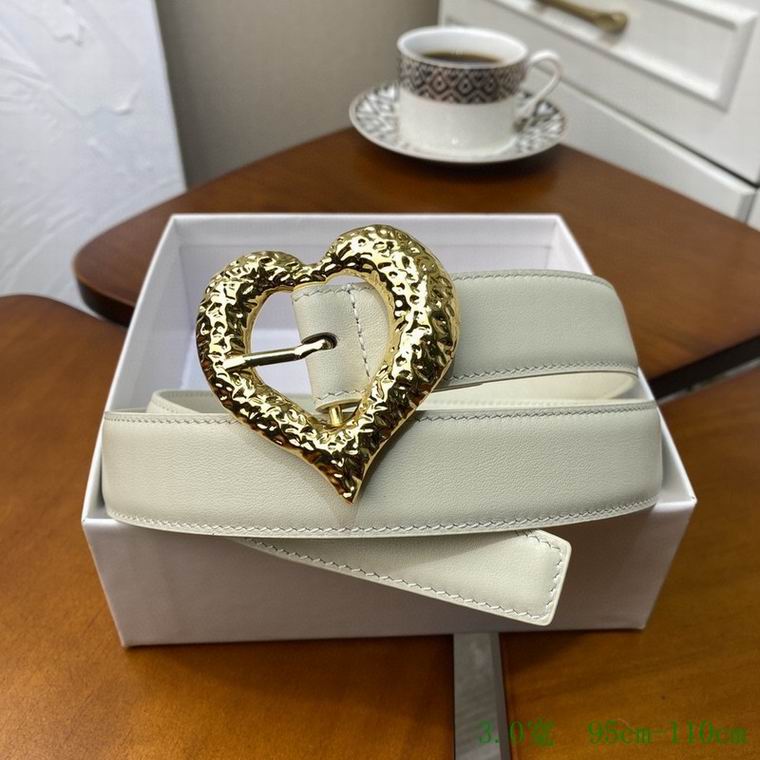 YSL Belt 30mmX95-110cm 7D  (2)