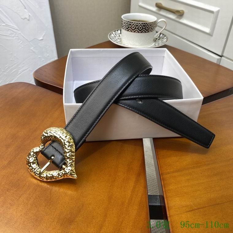 YSL Belt 30mmX95-110cm 7D  (5)