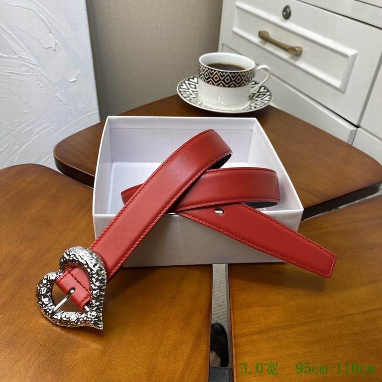 YSL Belt 30mmX95-110cm 7D  (9)