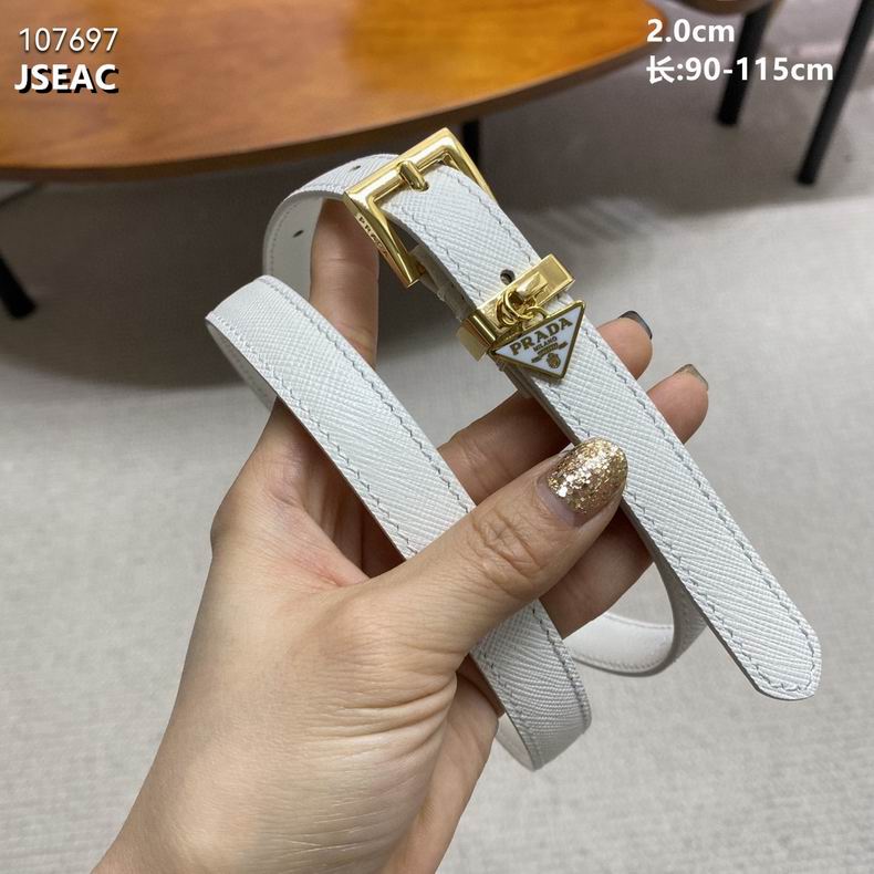 YSL belt 20mmX90-115cm 8L (4)