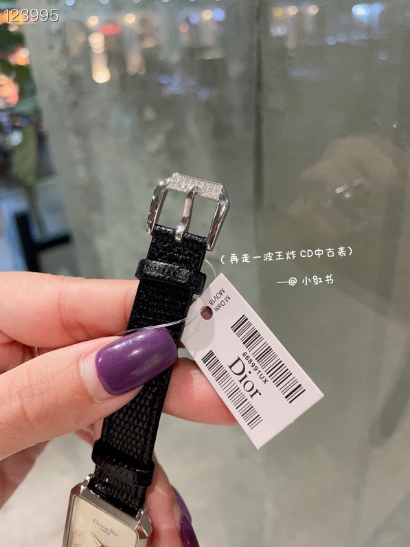 Dior 26X32mm 124 (3)