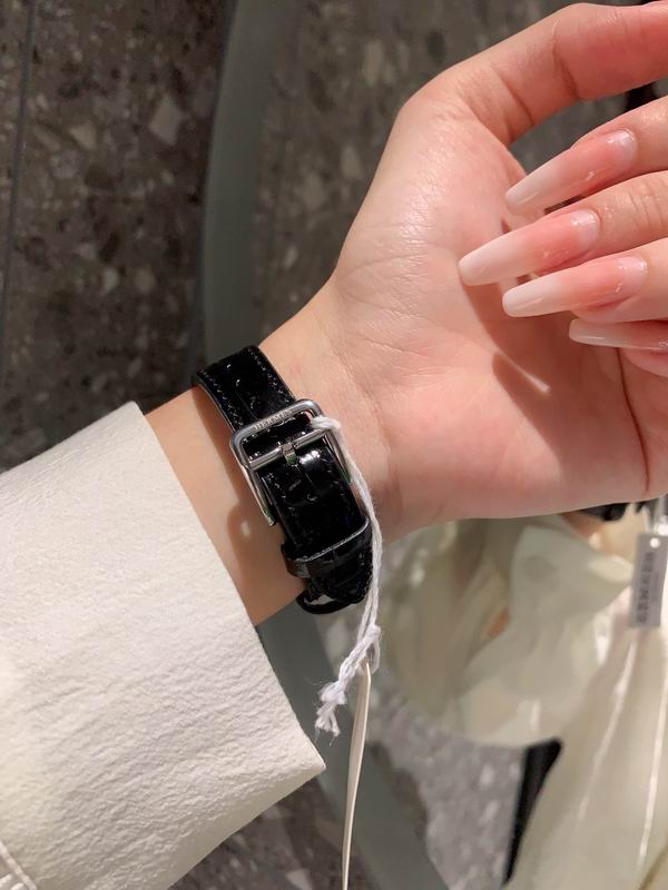 Hermes watch 112 (8)