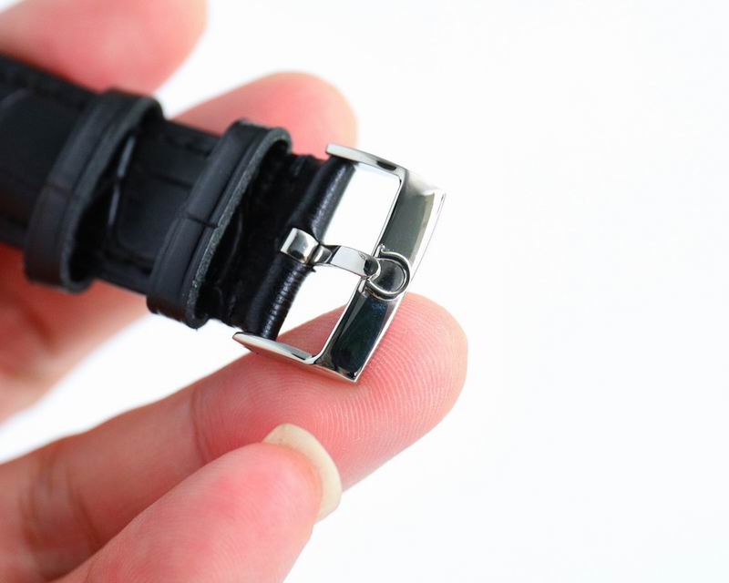 Omega 39.5mm 173 (12)