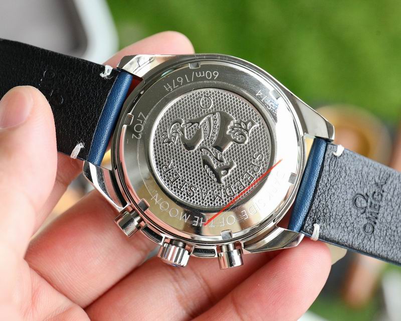 Omega 43X12mm 201 (7)