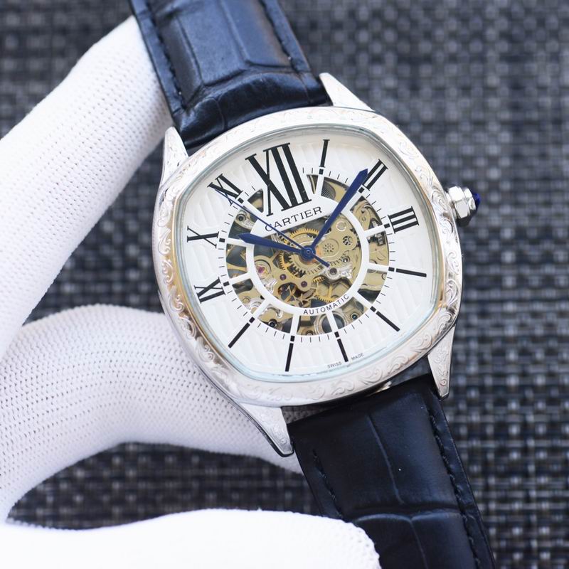 Cartier 43X12mm 73 (8)