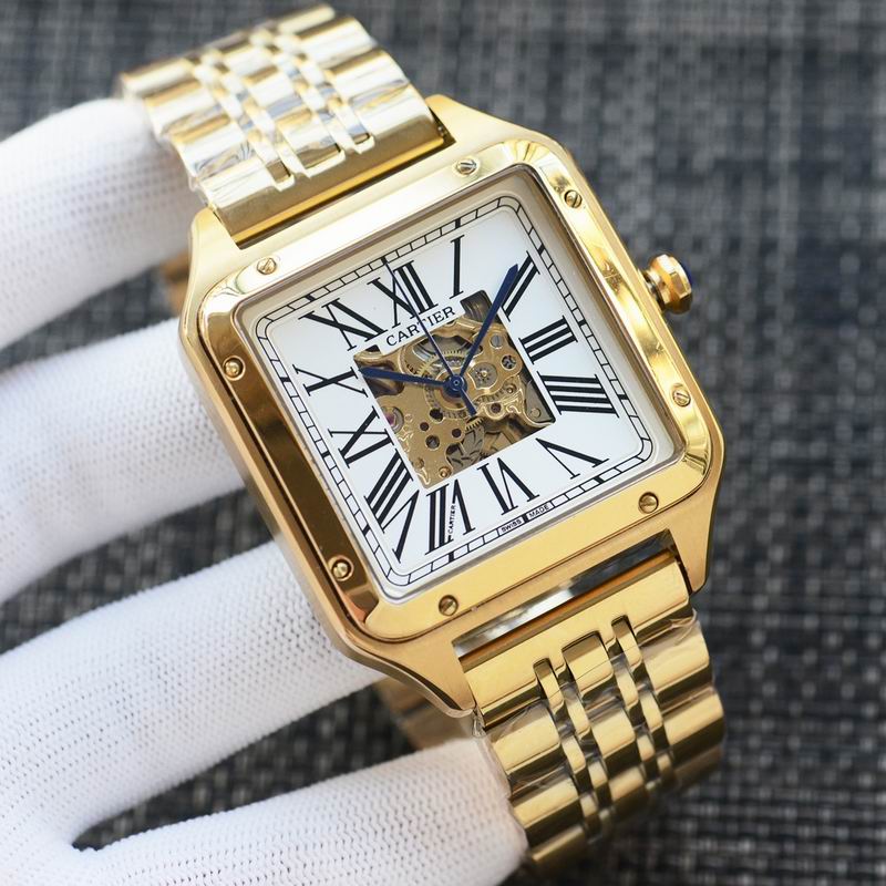 Cartier 43X12mm 94 (3)