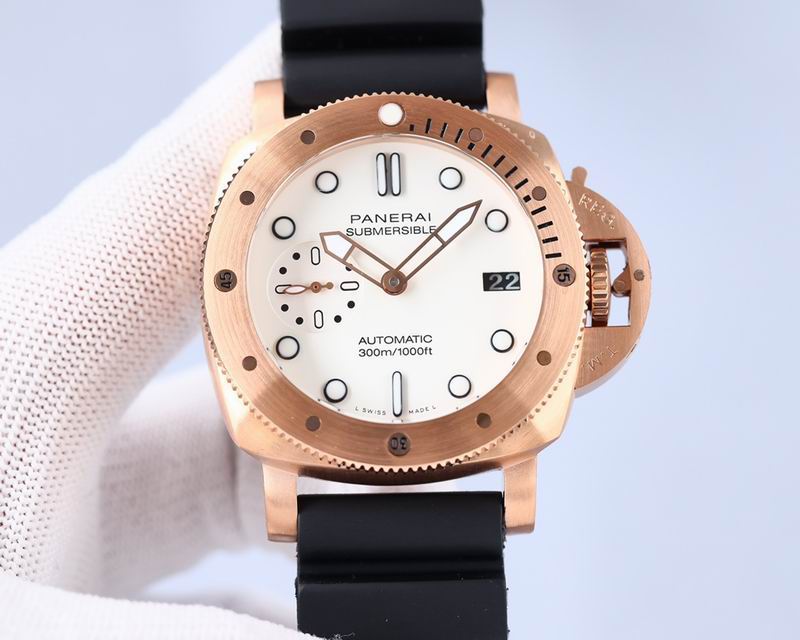 Panerai watch 28 (3)