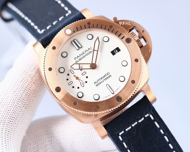 Panerai watch 28 (4)