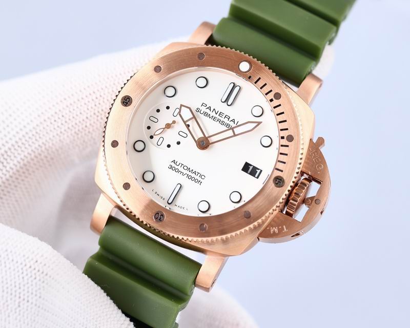 Panerai watch 28 (5)