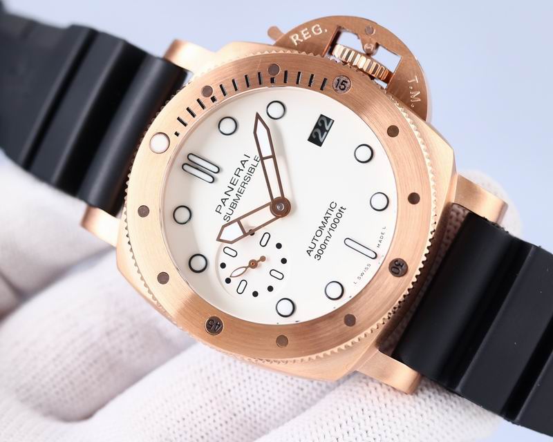 Panerai watch 28 (9)