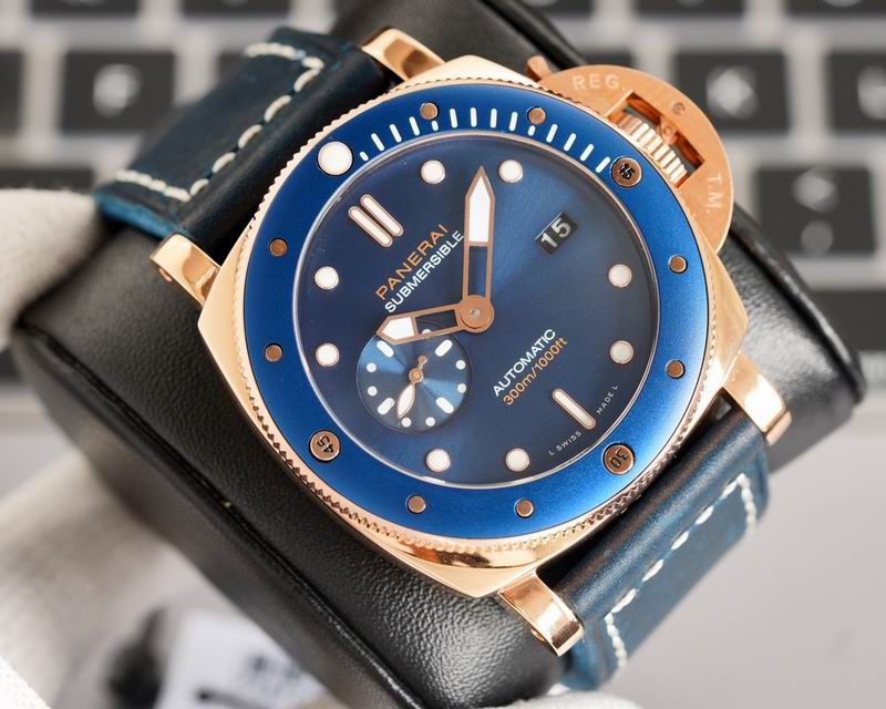 Panerai watch 60 (1)