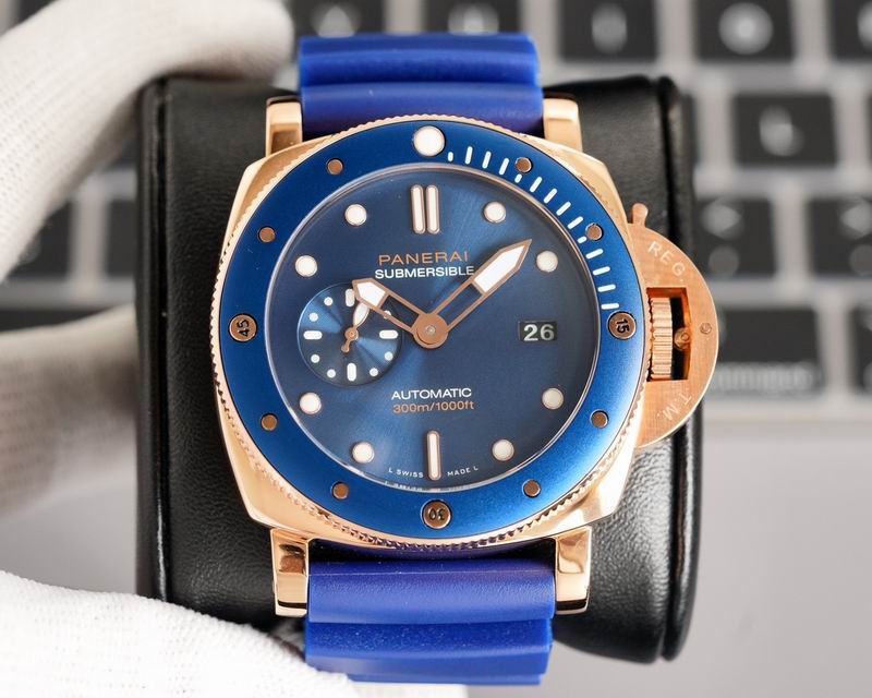 Panerai watch 60 (6)