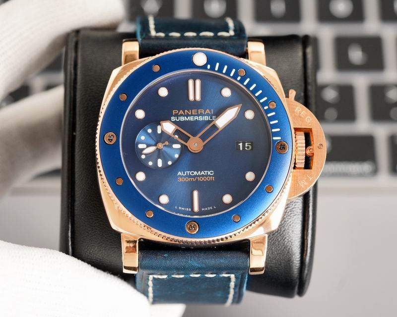 Panerai watch 60 (7)