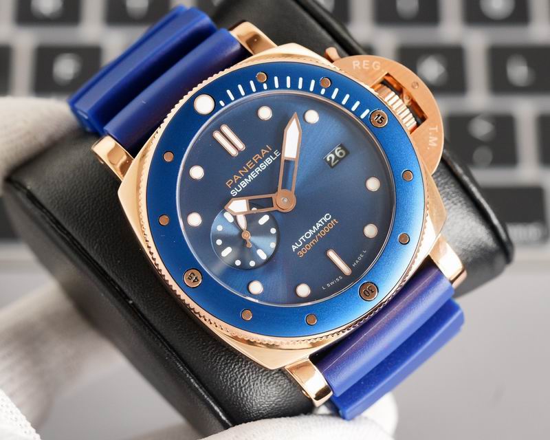 Panerai watch 60 (8)