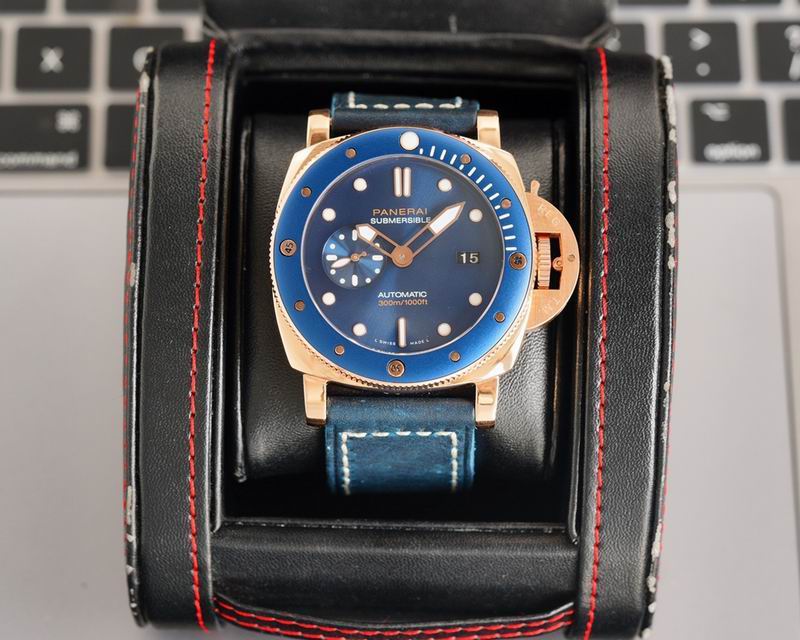 Panerai watch 60 (9)