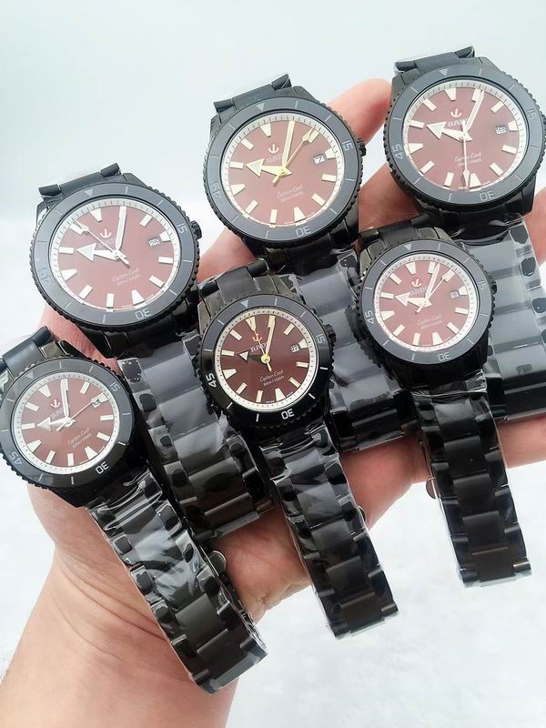 Rado watch 31 (2)