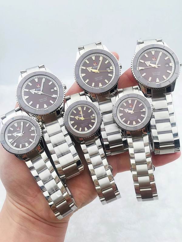 Rado watch 31 (22)