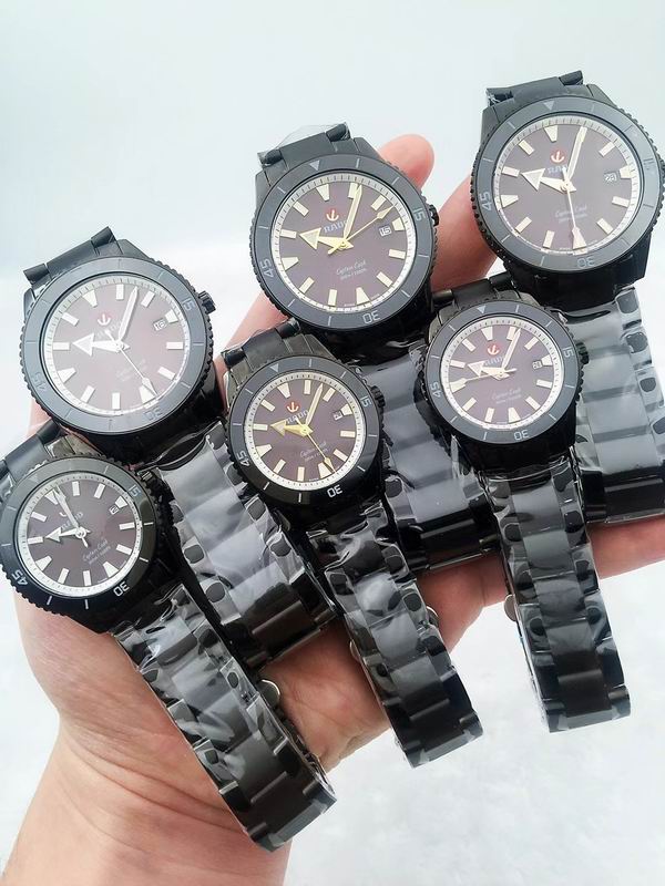 Rado watch 31 (3)