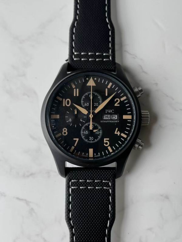 IWC watch 101 (10)