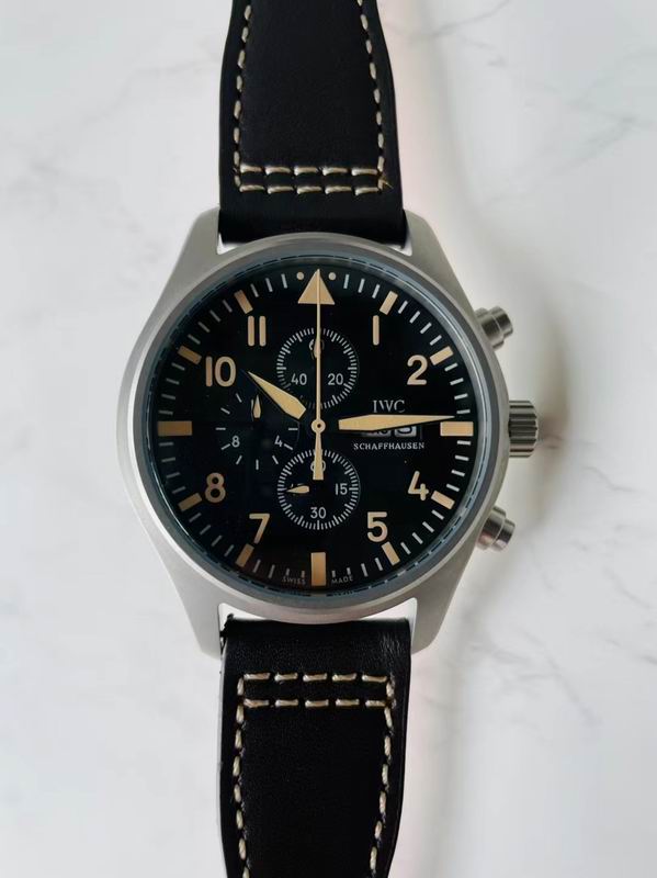 IWC watch 101 (8)