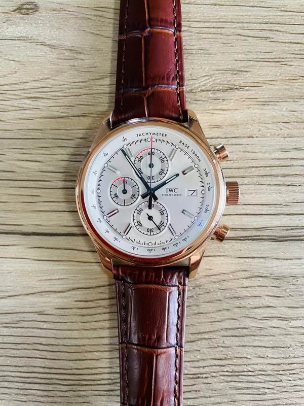 IWC watch 103 (11)