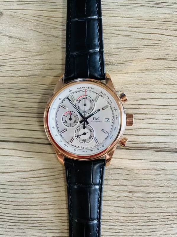 IWC watch 103 (12)
