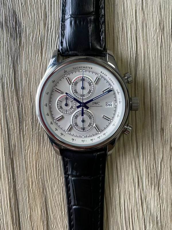 IWC watch 103 (2)