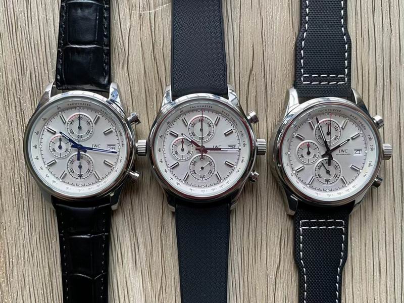 IWC watch 103 (5)