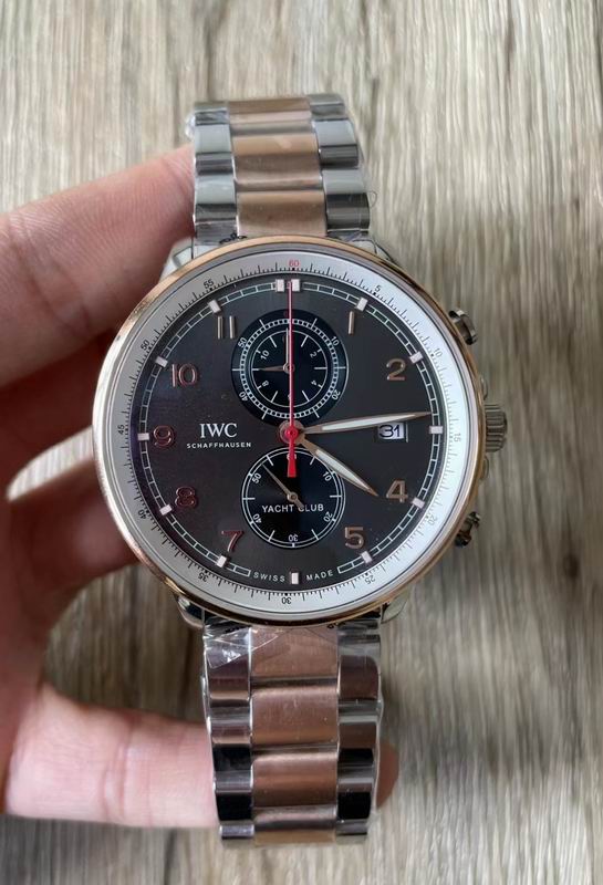 IWC watch 109 (1)