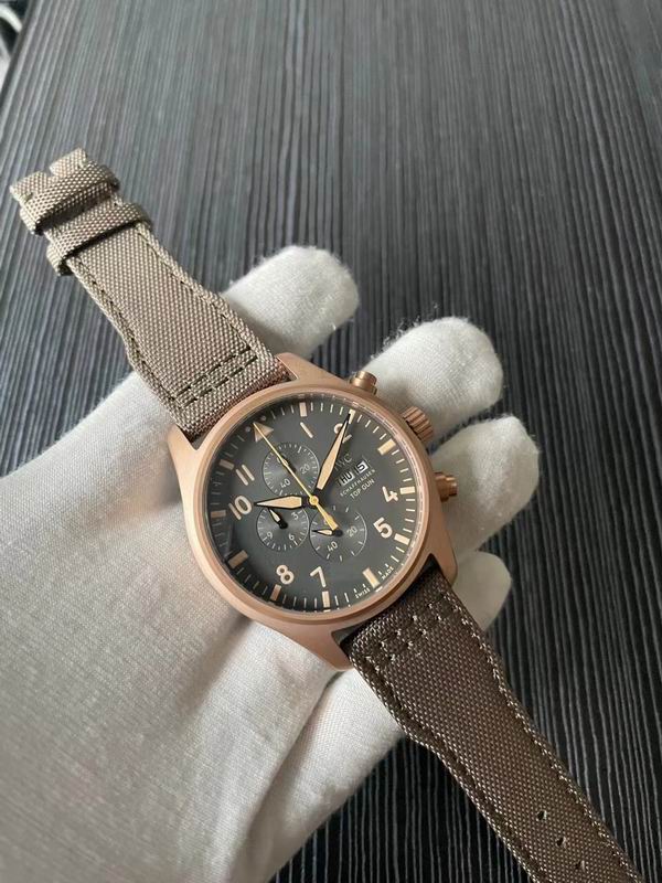 IWC watch 69 (2)