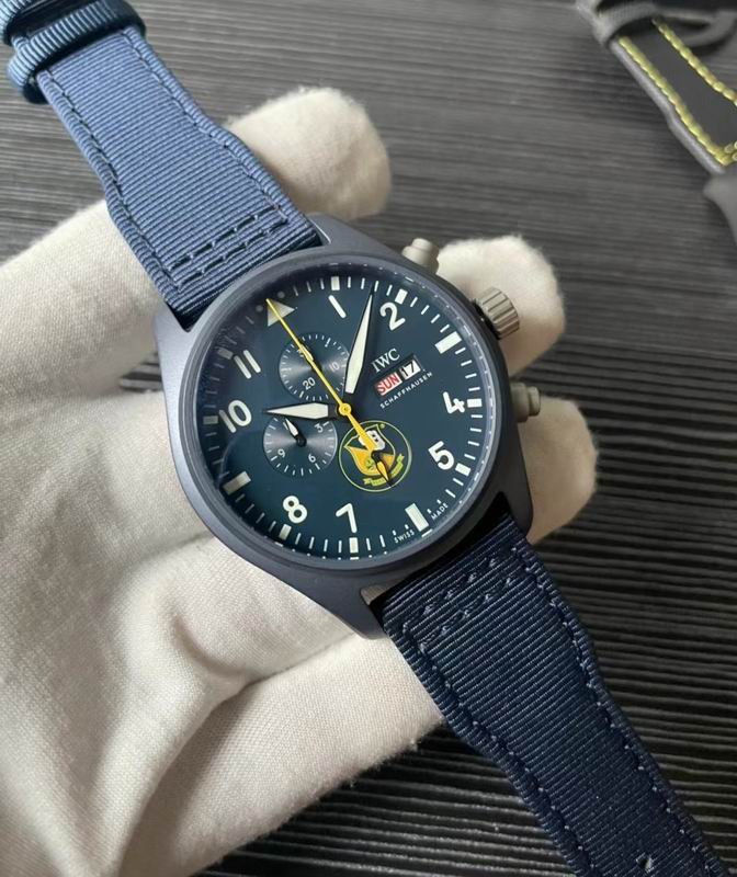 IWC watch 71 (3)