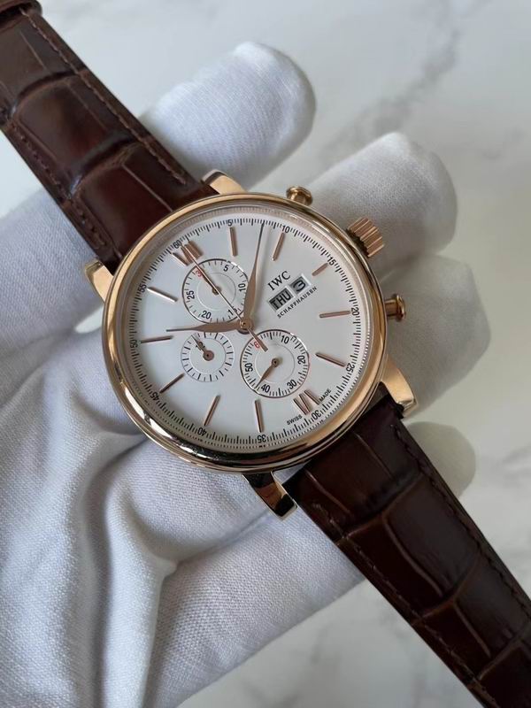 IWC watch 72 (1)
