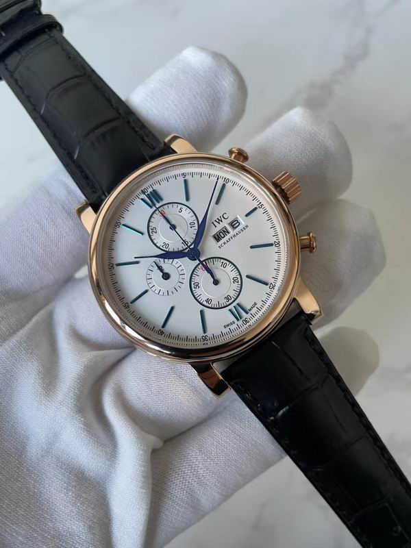 IWC watch 72 (5)