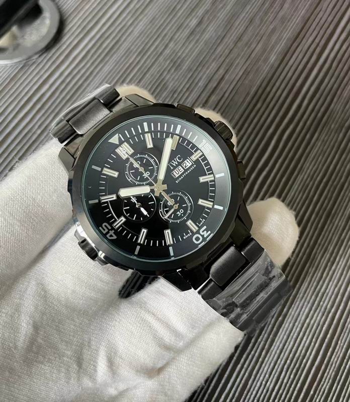 IWC watch 73 (1)