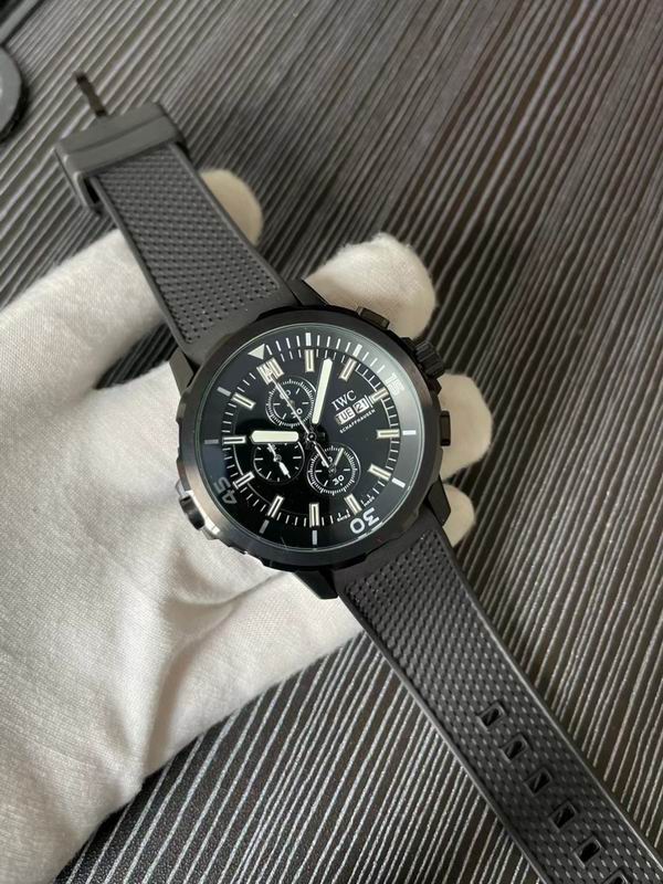 IWC watch 74 (2)