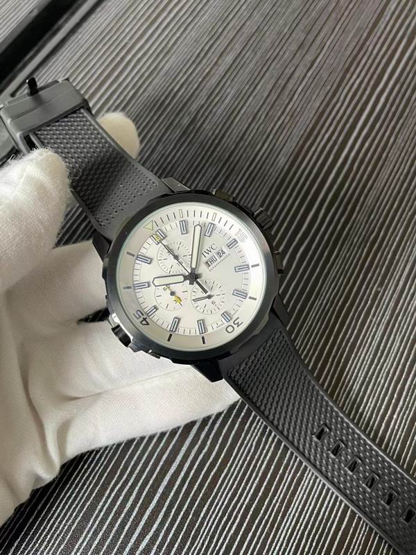 IWC watch 74 (6)
