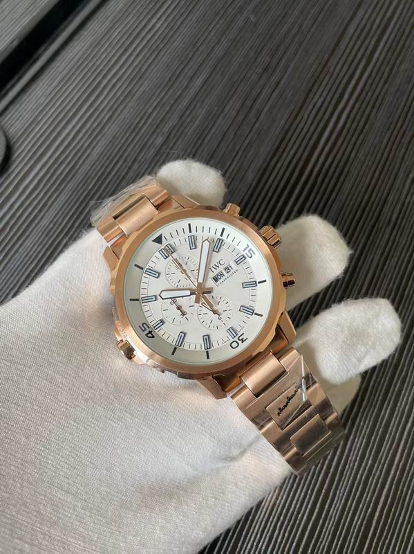 IWC watch 75 (3)