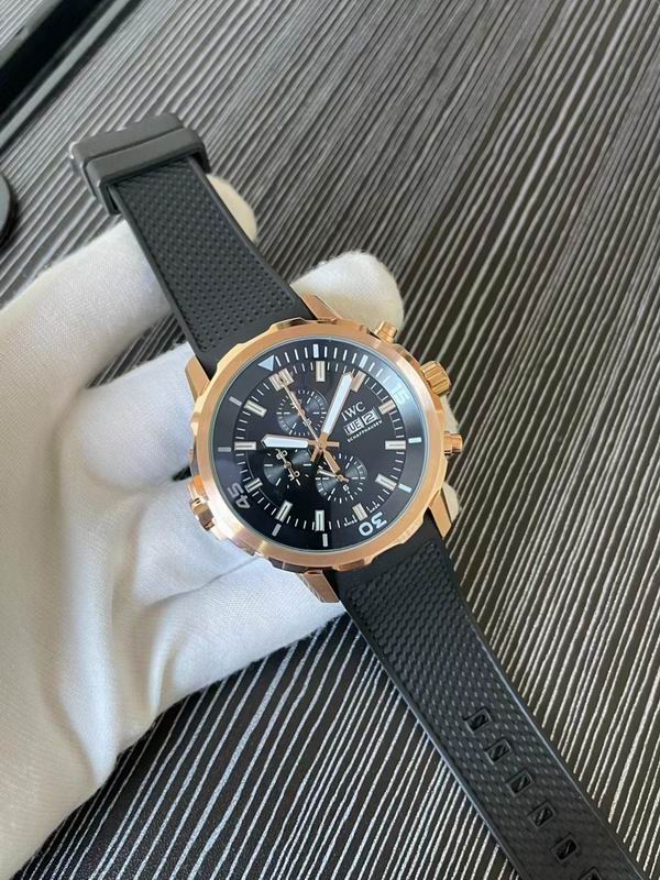 IWC watch 76 (1)