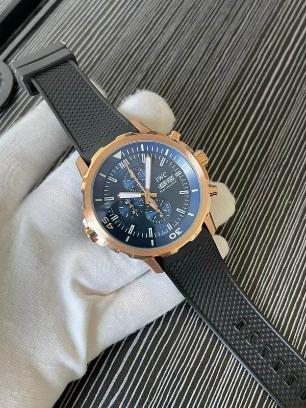 IWC watch 76 (6)