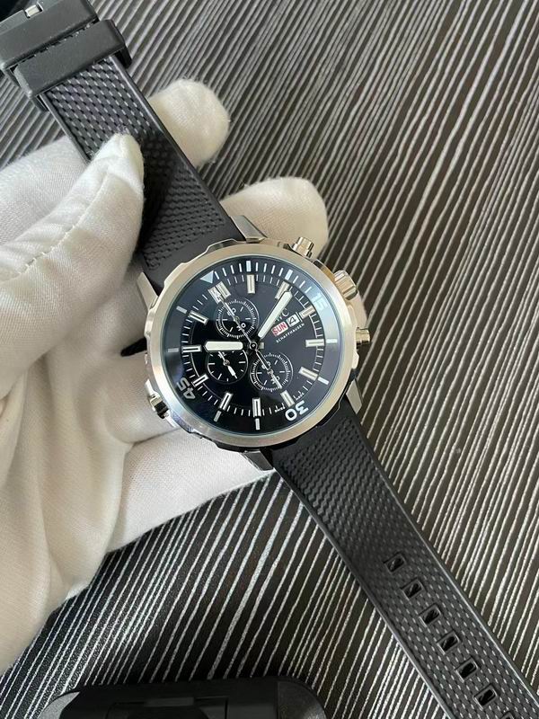 IWC watch 78 (1)