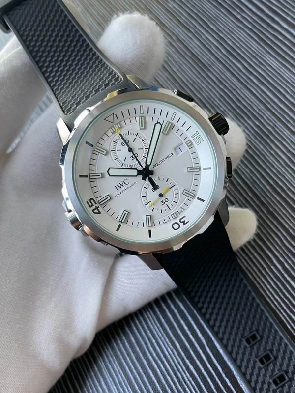 IWC watch 79 (1)