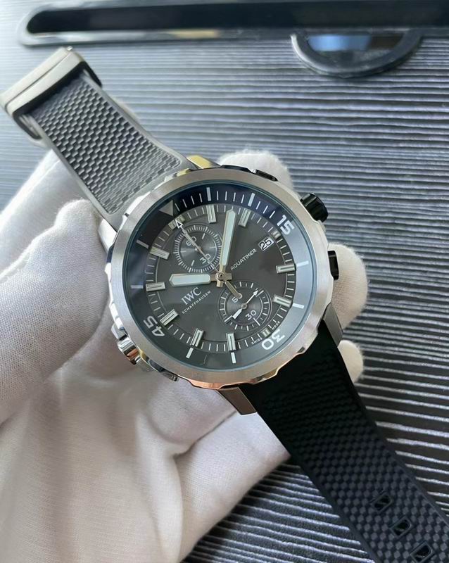 IWC watch 79 (3)