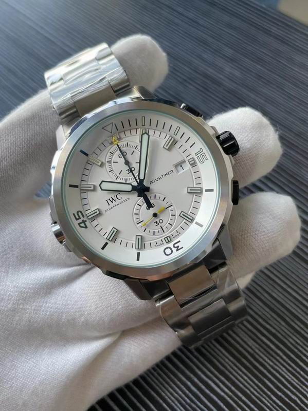 IWC watch 80 (5)