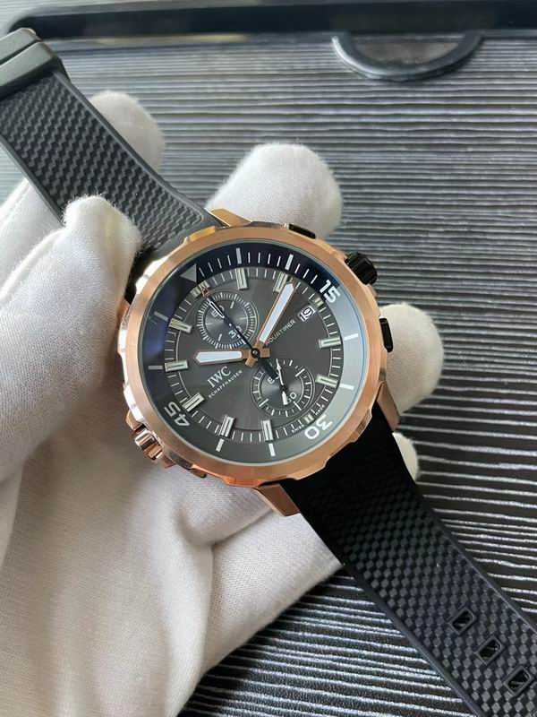 IWC watch 81 (2)