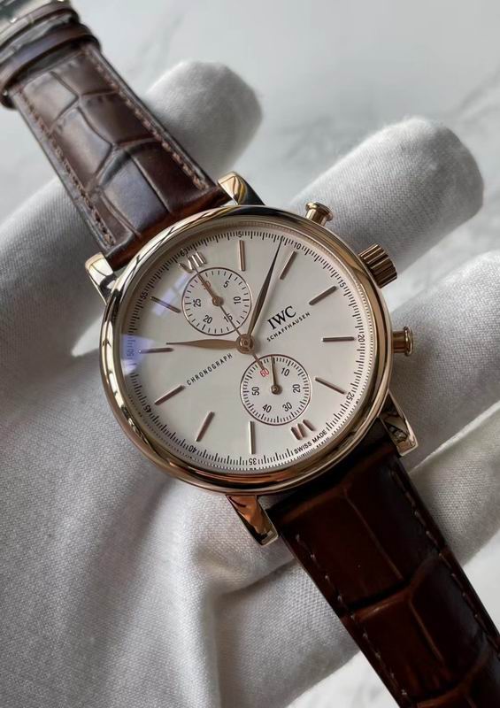 IWC watch 84 (4)