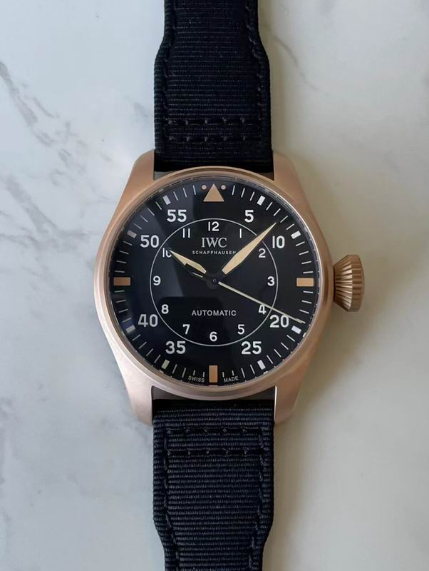 IWC watch 85 (2)