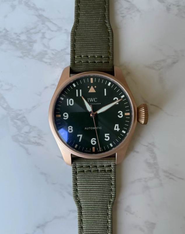 IWC watch 85 (5)