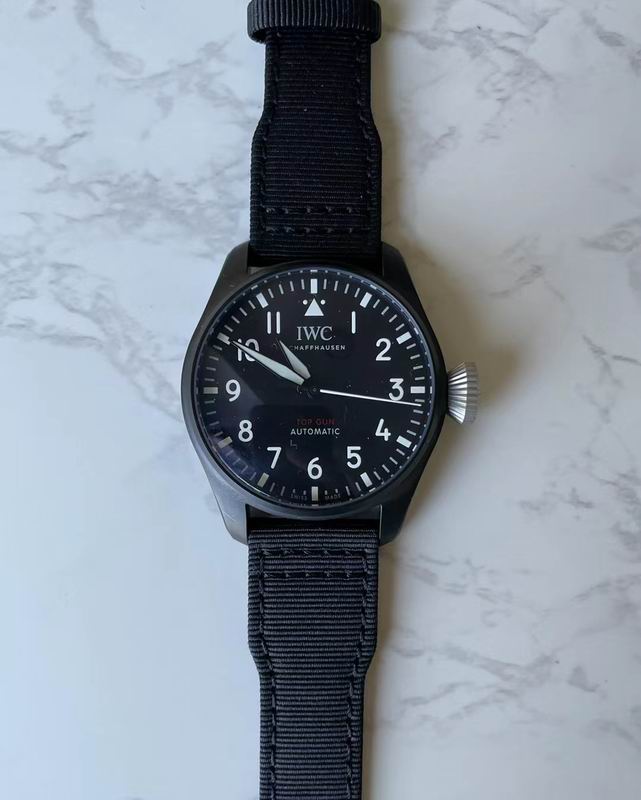 IWC watch 85 (8)