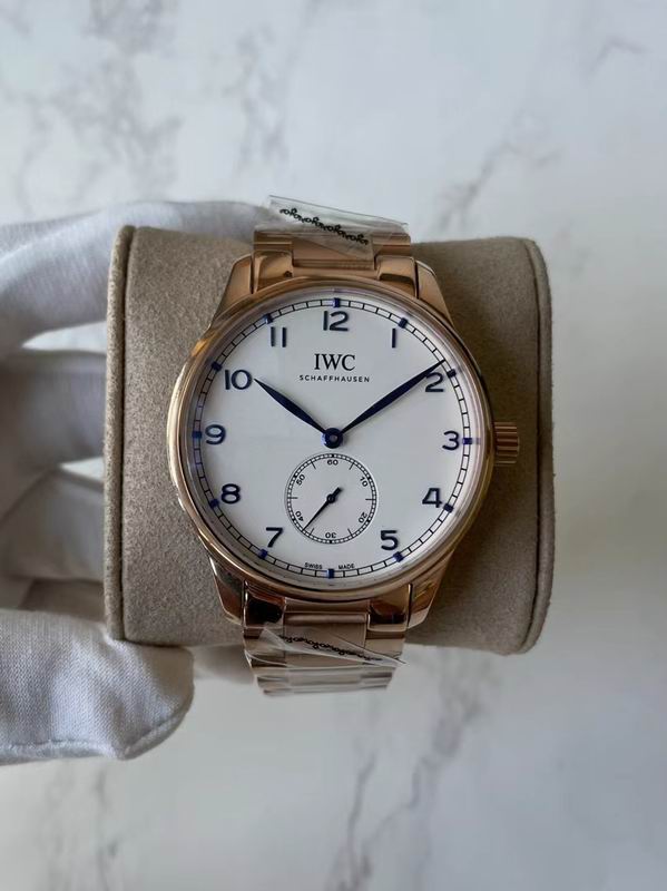 IWC watch 89 (2)
