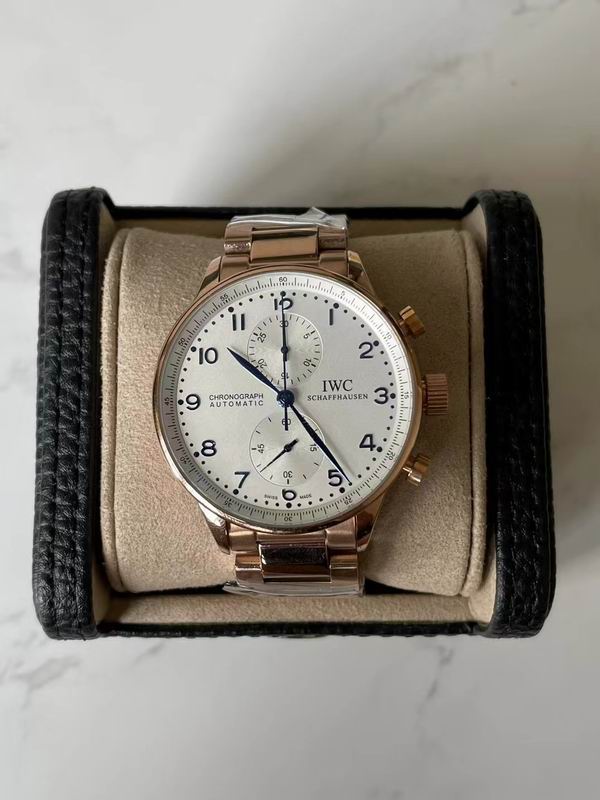 IWC watch 90 (10)